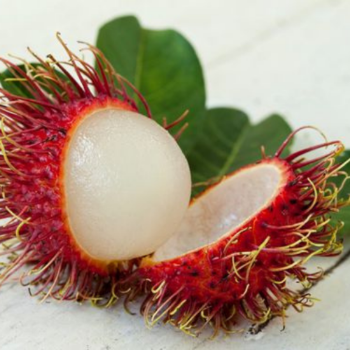 Fresh Rambutan Healthy 100% Organic Fast Delivery Wholesales Fresh Carton Box Vietnamese Manufacturer 5