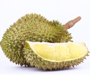 Wholesale Sweet savory and creamy taste strong smell Brix 20% Ri 6 Fresh Durian from Vietnam 8