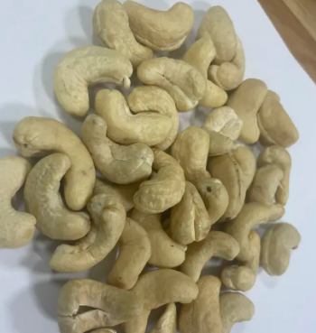 Cashew Nuts W180 Professional Team Export Food High Protein Customized Packaging From Vietnam Trading 6