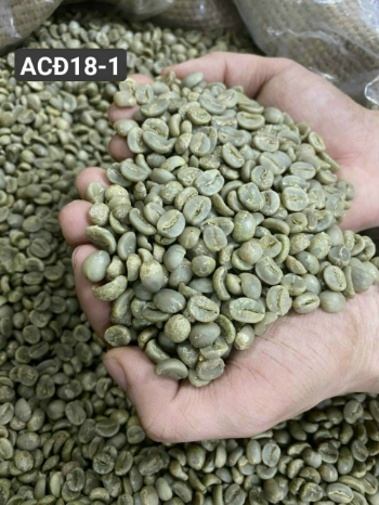 Robusta Coffee Green Bean Coffee Natural Color Natural Color Variety Of Shapes High Quality Packed In The Carton Box Manufacture 6