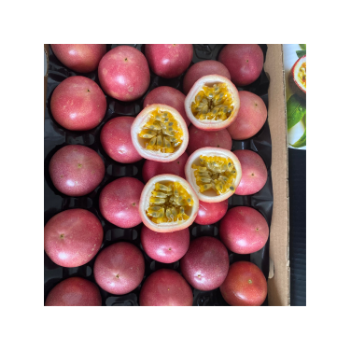  View larger image Add to Compare  Share Fast Delivery Passion Fruit Plant For Sale Natural Fresh Newborn Organic AWETO Made In Vietnam Manufacturer 5