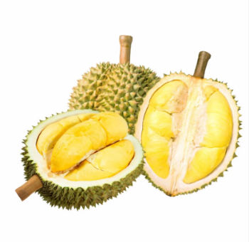 Ri6 fresh durian fruit for sale Hot selling good taste using for food packing in carton made in Vietnam Manufacturer 5