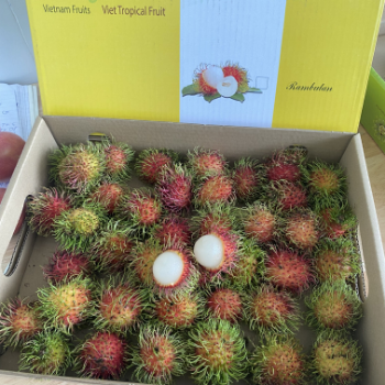 Passion Fruit Organic Healthy Haccp Professional Team Wholesales Fresh Customized Packaging Vietnamese Manufacturer 4