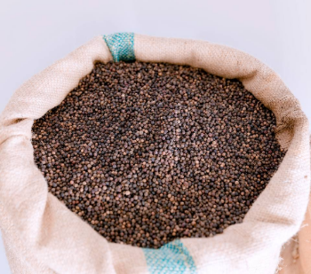 Hot Spice Black Pepper Oem Good Scent Marinated Meat Fast Delivery Export Sack Jumbo Bag From Vietnam Manufacturer 1