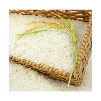 Wholesaler Jasmine Rice 2024 Green Vina Long Grain Rice Organic Natural White From Vietnam Manufacturer