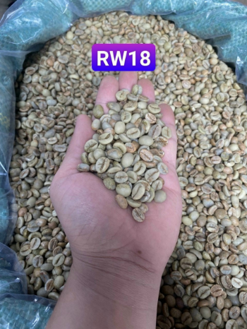 Natural Color Variety Of Price Feature Best Product Packed In the Carton box Robusta Coffee Green Bean Coffee Natural Color Natu 8