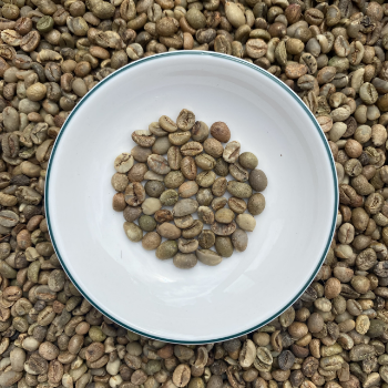 Raw Coffee Beans Robusta Coffee S18 - High ripening rate First Class Grade Good Price Natural No Preservatives Custom Packing From Vietnam Company  6