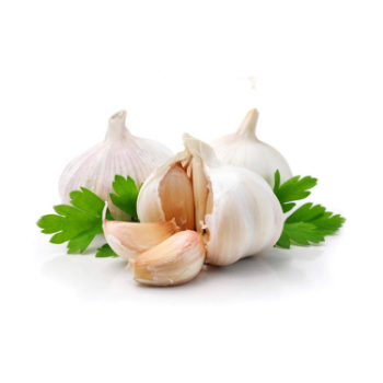 High Quality Garlic Used As A Seasoning For Dishes 100% Dried Garlic Organic Packed In Box Vietnam Manufacturer 5