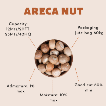 Wholesale Competitive Price Good For Health Price High Quality Dried Areca Nut Berries Betel Nuts From Vietnam Manufacturer 2