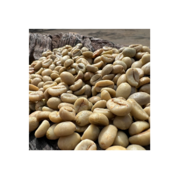 Good Price Robusta Vietnam Top Grade Caffeinated Healthy Drink Low MOQ Best Price For Export Hot Selling Brand Wholesale 4