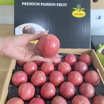 Whole Passion Fruit Healthy Haccp Good Price Wholesales Fresh Customized Packaging Vietnam Manufacturer 1