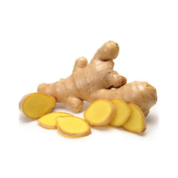 Fast Delivery Ginger Harvesting Natural Fresh High Nutrients Organic Natural Yellowish Made In Vietnam Manufacturer 4