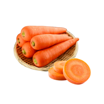 Fresh Carrots Fresh Good Choice   Tasty Food Vinagreen Customized Packing From Vietnam Bulk Low Calories 6