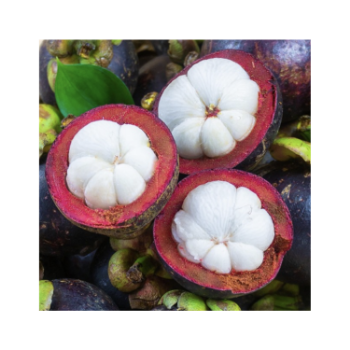 Best Price Fresh Mangosteen 100% Natural Organic Good For Health Packed In Box Vietnam Manufacturer 2