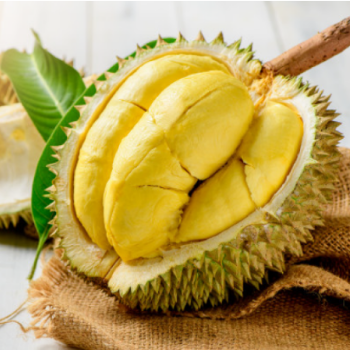 Cheap Price Nutritious Healthy Whole Fresh Durian For Sale From Vietnam - Supplier in Vietnam 1