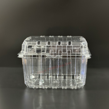 Fast Delivery Biodegradable Clear Boxes Disposable Pet Container Packaging Clamshell Plastic Fruit Made In Vietnam 1