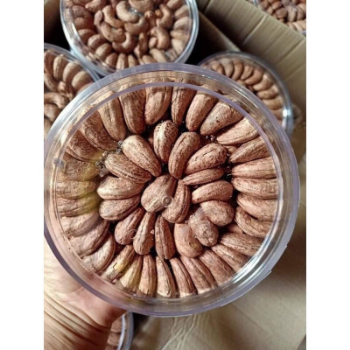 Cashew Nuts A1 Nuts Cheap Price Organic Nuts Natural Flavor Cashew Kernels Packaging Carton & Vacuum PE From Vietnam 1