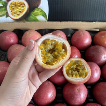 Plant For Sale Fast Delivery  Passion Fruits Making Juice Passion Fruit Natural Fresh Organic Cakes Fresh Fruit Packaging Box VietNam Manufacture