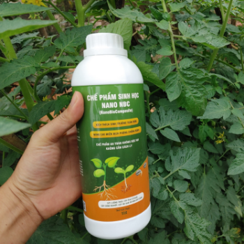 Composite Plant Growth Oem Agrochemical Agriculture 1000ML Biological Fertilizer Bottle Made In Vietnam Manufacturer 3