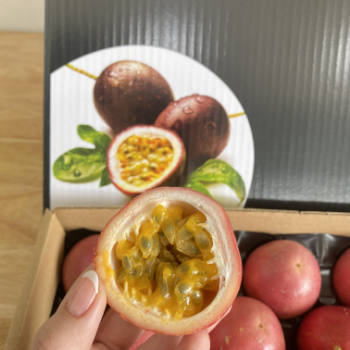 Fresh Passion Fruit For Export Us Haccp High Quality Viet Tropical Fruit Carton Box Vietnam Manufacturer 5