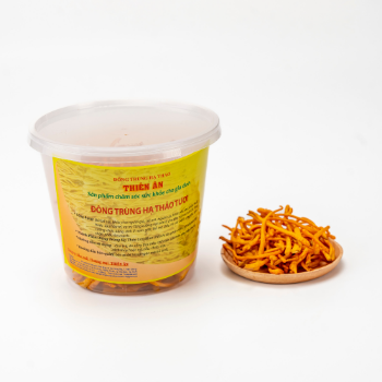 Dried Cordyceps Raw Cordyceps High Quality Nutritious Using For Drink ISO Packing In Jar Made In Vietnam Manufacturer 2