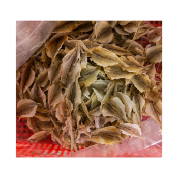 Viet Nam Dry Fish Yellow Croaker Fish Good Quality Export Ly Huynh Tasty Vacuum Pack Made In Vietnam Manufacturer 2