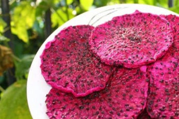 Dried Red Dragon Fruit Packaged Food Made in Vietnam High Quality Agricultural Products Daily Snacks 6