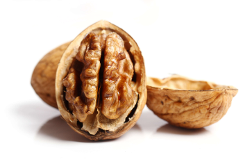 Organic Bulk Nuts Wholesale Premium Walnuts Raw Walnut In Shell Dry Fruits Walnuts Kernels For Sale From Vietnam Manufacturer 3