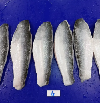 High Quality Frozen Pangasius Skin On Whole Factory Good Price From Vietnam Wholesale Fresh Frozen Catfish For Export In Bulk  6