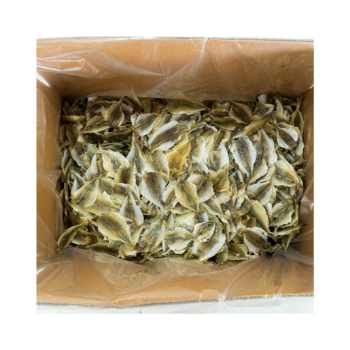 Oven For Drying Fish Yellow Croaker Fish Best Selling Export Ly Huynh Tasty Vacuum Pack From Vietnam Manufacturer 6