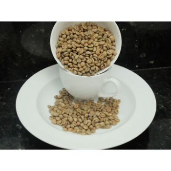 Raw Coffee Beans For Sale Robusta S16 Coffee High Quality Natural Using For Making Food And Beverage No Additives 1