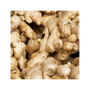 Good Quality Fresh Ginger 100% Natural Organic Good For Health Packed In Box Made In Vietnam Manufacturer 6