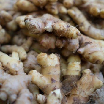 From Viet Nam High Quality Fresh Elephant Ginger 2024 Fresh Ginger Export Best Selling Fresh Ginger Export High Quality Fresh 1