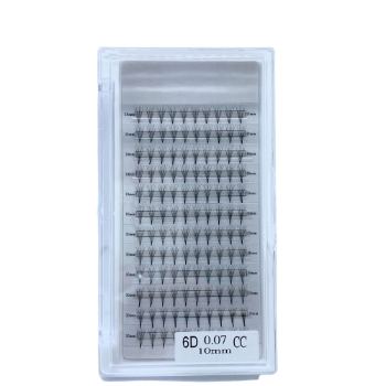 6D Volume Fans 160 fans High Quality Professional Pre Made Fan Eyelashes From Vietnam Best Supplier   3