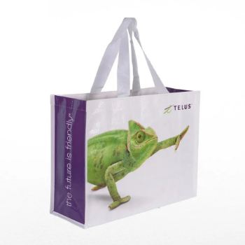 Best Price Pp Woven Bags Eco Friendly Durable 2023 Packed In Box From Vietnam Manufacturer 5