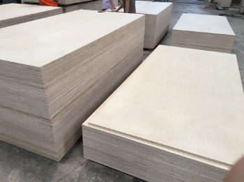 Birch Plywood Phuong Linh Wood Plywood Prices For Furniture Customized Design Customized Packaging From Vietnam Manufacturer 1