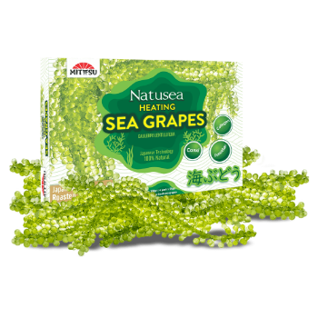 Dehydrated Sea Grapes Natural Fast Delivery 25Gr/Pack Mitasu Jsc Customized Packaging Vietnam Manufacturer 4