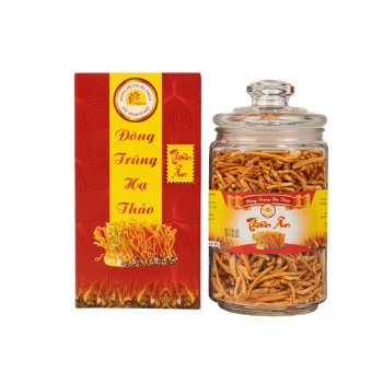 Raw Cordyceps Extract High Cordycepin Nutritious Using For Food ISO Packing In Jar Made In Vietnam Manufacturer 2