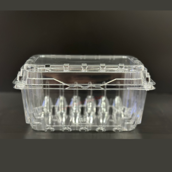 Pet Container Packaging Clamshell Plastic Fruit Eco Friendly Biodegradable Clear Boxes Disposable Made In Vietnam 5