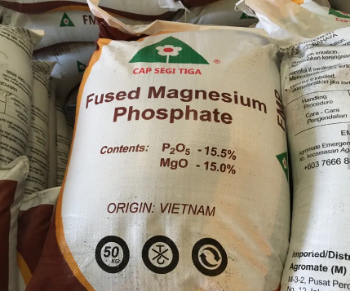 Fused Calcium Magnesium Phosphate FMP Fertilizer Made in Viet Nam High Quality product high-tech production line 2