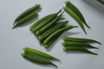 Fresh Okra Cheap Price 100% Organic Using For Food Packing In Carton made in Vietnam Farm 6