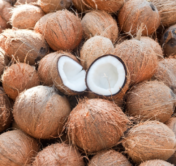 Dried Coconut 100% Natural Semi-Husked From Vietnam Agriculture Nutrition Juicy Sweet Water Thick Meat Hot Selling 3