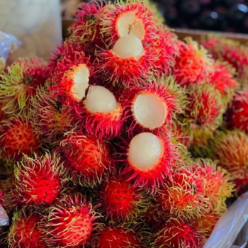 Whole Rambutan For Export Us 100% Organic Fast Delivery Viet Tropical Fruit Carton Box Made In Vietnam Manufacturer 7