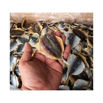 Fish Drying Oven Dried Yellow Tail Scad Fish Export Ly Huynh Competitive Price Tasty Vacuum Pack Vietnamese Manufacturer 1