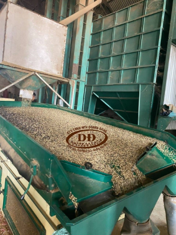  Arabica Coffee From Cau Dat Region Roasted And Ground Custom Packing  Best Choice Traditional Passion Coffee (Roasted With Butter) And Ground To Filter  4