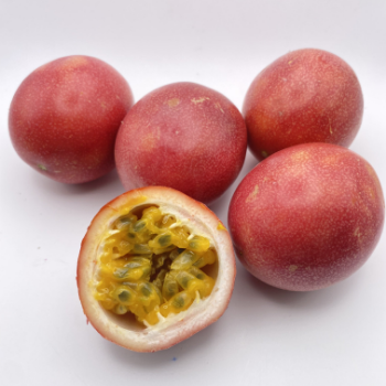 Passion Fruit Plant For Sale Fast Delivery Natural Fresh Organic Passion Fruits Making Juice Cakes Fresh Fruit Packaging Box VietNam Manufacture 8