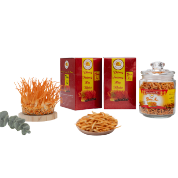 Freeze Dried Cordyceps Militaris High Quality Precious Food Using For Drink ISO Packing In Jar Made In Vietnam Manufacturer 2