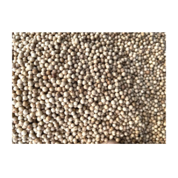 Hot Selling 100% Pure Natural White Pepper High Quality Single Spice Rich Fragrance Use For Restaurant 4