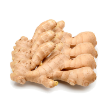 Good Quality Ginger Harvesting Natural Fresh High Nutrients Organic Natural Yellowish Vietnamese Manufacturer 8