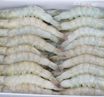 White Shrimp Export High Quality Seafood Fresh and boiled Vannamei Packaging Made In Vietnam Trading Frozen 3